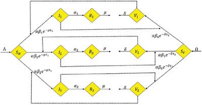 Mathematical Modeling of the Co-Infection Dynamics of Dengue and Malaria Using Delay Differential Equations