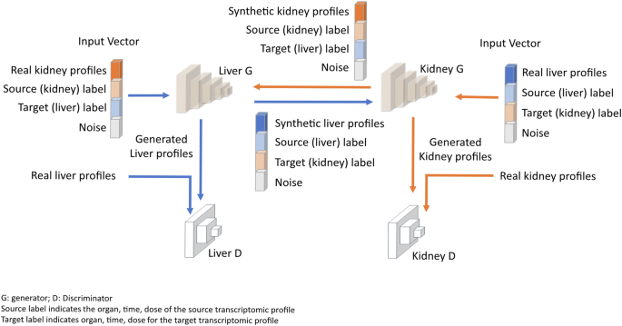 Bridging organ transcriptomics for advancing multiple organ toxicity assessment with a generative AI approach