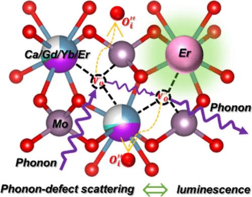 Luminescence and Transport Behavior in Incommensurately Modulated CaGd<sub>2</sub>(MoO<sub>4</sub>)<sub>4</sub>:Yb/Er.