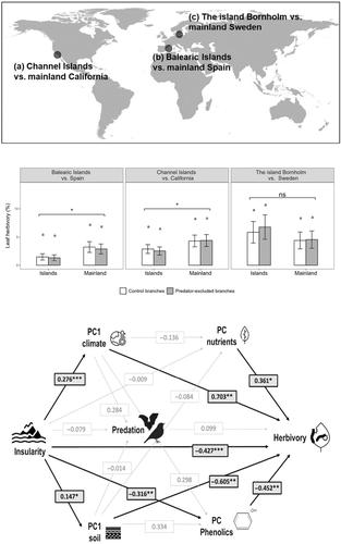 Testing the contribution of vertebrate predators and leaf traits to mainland–island differences in insect herbivory on oaks