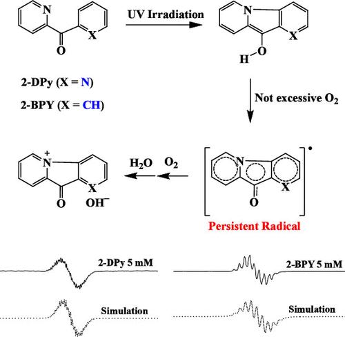 Unusual and Persistent Free Radical Intermediate Production from 2-Pyridyl Ketones via UV Irradiation: A Direct ESR Study.