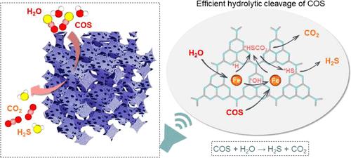 Valence Electron and Coordination Structure Guided Metal Active Site Design for Hydrolytic Cleavage of Carbon–Sulfide Double Bonds