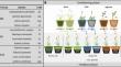 Plant-soil feedback responses to drought are species-specific and only marginally predicted by root traits