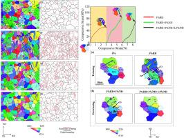 Quasi-in situ electron backscatter diffraction analysis of twinning–detwinning behavior in AZ31 magnesium- alloy rolled plates subjected to compression loading in different directions