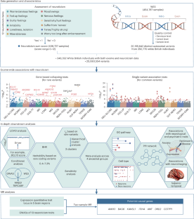 Large-scale exome sequencing identified 18 novel genes for neuroticism in 394,005 UK-based individuals