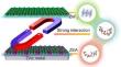 Electrode/Electrolyte Optimization-Induced Double-Layered Architecture for High-Performance Aqueous Zinc-(Dual) Halogen Batteries