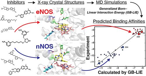 Application of the Linear Interaction Energy Method to Nitric Oxide Synthase Structure-Based Inhibitor Design