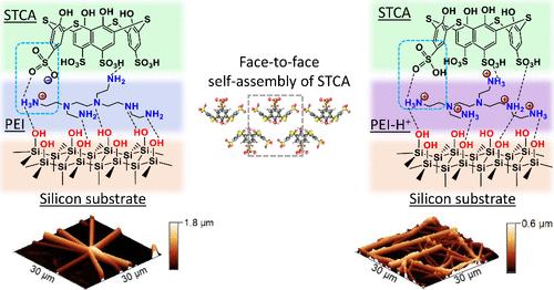 Crystallization Control of Anionic Thiacalixarenes on Silicon Surface Coated with Cationic Poly(ethyleneimine)