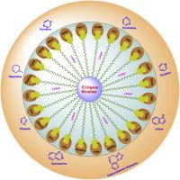 Next-generation cancer therapeutics: PROTACs and the role of heterocyclic warheads in targeting resistance