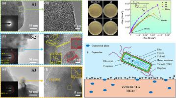 A significant improvement in corrosion resistance and biocompatibility in ZrNbTiCrCu high-entropy films induced by the precipitation of Cu