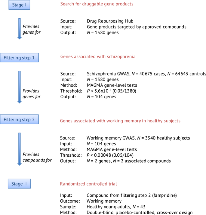 The effect of fampridine on working memory: a randomized controlled trial based on a genome-guided repurposing approach