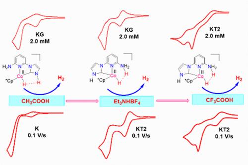 H2-Evolving Cobalt–Protic-NHC Catalysts: Kinetic Zone Diagram Analysis and Mechanistic Insights