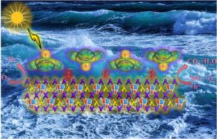 Pioneering SubPc-Br/CdS S-scheme heterojunctions: Achieving superior photocatalytic oxidation through enhanced radical synergy and photocorrosion mitigation