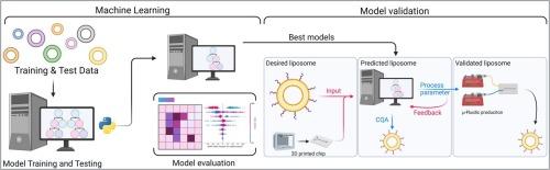 Leveraging machine learning to streamline the development of liposomal drug delivery systems