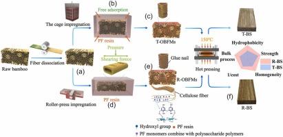 Enhanced mechanism of physical and mechanical properties of bamboo scrimber prepared by roller-pressing impregnation method