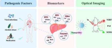 Nanoprobes based on optical imaging techniques for detecting biomarkers in liver injury diseases