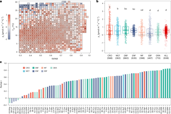 Evidence for widespread thermal acclimation of canopy photosynthesis