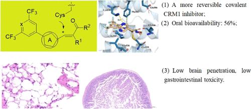 Discovery of SZJK-0421: A Novel Potent, Low Toxicity, Selective Second Generation of CRM1 Inhibitor for the Treatment of Both Hematological and Solid Tumors