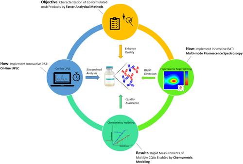 Implemention of Innovative Process Analytical Technologies to Characterize Critical Quality Attributes of Co‐Formulated Monoclonal Antibody Products