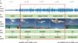 Audio-visual event localization with dual temporal-aware scene understanding and image-text knowledge bridging