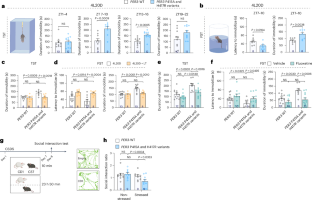 Human PERIOD3 variants lead to winter depression-like behaviours via glucocorticoid signalling