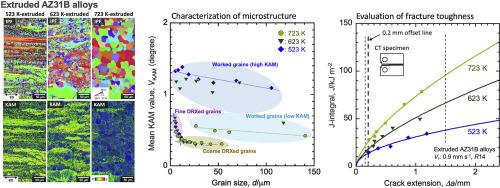 Effects of heterogeneous microstructure evolution on the tensile and fracture toughness properties of extruded AZ31B alloys