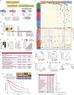 Rapid growth of acquired UBA1 mutations predisposes male patients to low-risk MDS