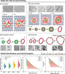 Origin and fate of loop punching in Mo-5Re alloy