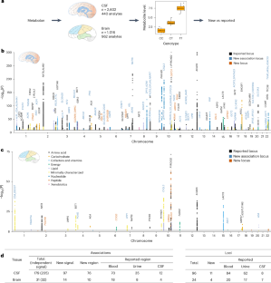 Genetic architecture of cerebrospinal fluid and brain metabolite levels and the genetic colocalization of metabolites with human traits