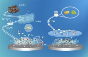 Built-in potential-regulated and exogenous excited electrochemiluminescence sensor based on dual-monomers molecularly imprinted polymer for the biomimetic detection of thiabendazole