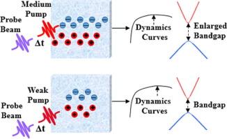 Femtosecond laser-induced ultrafast electron dynamics and band gap renormalization in InSb