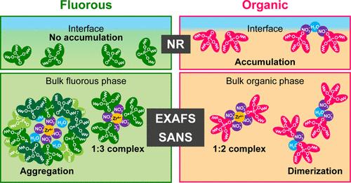 Fluorous and Organic Extraction Systems: A Comparison from the Perspectives of Coordination Structures, Interfaces, and Bulk Extraction Phases.