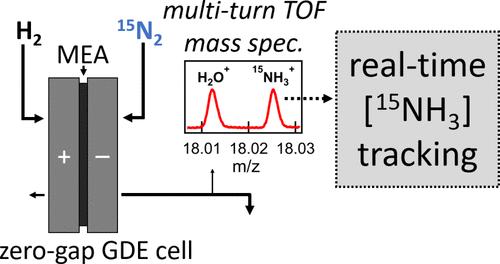 Nitrogen Reduction Testing with Real-Time 15NH3 Yield Quantification Using Orbital Multiturn Time-of-Flight Mass Spectrometry