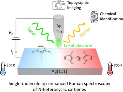 Chemically Interrogating N-Heterocyclic Carbenes at the Single-Molecule Level Using Tip-Enhanced Raman Spectroscopy