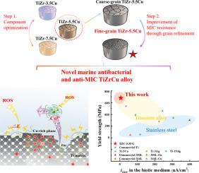 A novel fine-grained TiZrCu alloy tailored for marine environment with high microbial corrosion-resistance