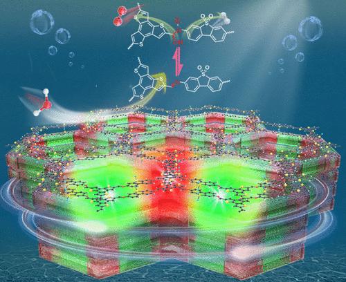 Exciton Dipole Orientation and Dynamic Reactivity Synergistically Enable Overall Water Splitting in Covalent Organic Frameworks