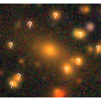 Forecasting the constraints on optical selection bias and projection effects of galaxy cluster lensing with multiwavelength data