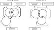 Dynamic or Static Goal Regulation: Implications of Weak and Strong Bonds Between Autonomous/Controlled Reasons and Aims for Achievement Goal Striving