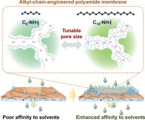 Rapid solvent transport and tunable molecular sieving enabled by ultrathin alkyl-chain-engineered polyamide membranes