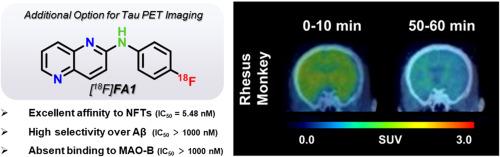 Synthesis and preclinical evaluation of diarylamine derivative as Tau-PET radiotracer for Alzheimer's Disease