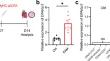 4E-BP3 deficiency impairs dendritic cell activation and CD4+ T cell differentiation and attenuates α-myosin-specific T cell-mediated myocarditis in mice