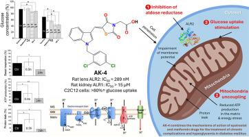 Rational design and synthesis of novel N-benzylindole-based epalrestat analogs as selective aldose reductase inhibitors: An unexpected discovery of a new glucose-lowering agent (AK-4) acting as a mitochondrial uncoupler