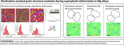 The evolution of grain boundary structure mediated by disclinations in magnesium alloys under superplastic deformation