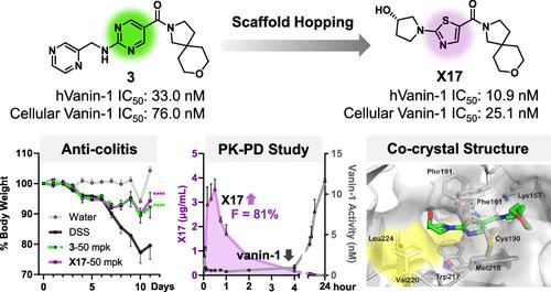 Discovery of Thiazole Carboxamides as Novel Vanin-1 Inhibitors for Inflammatory Bowel Disease Treatment