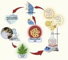 Novel frontiers through nitrogen substitution at 6th, 10th and 11th position of artemisinin: Synthetic approaches and antimalarial activity