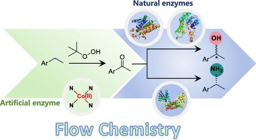 A Chemoenzymatic Cascade for the Formal Enantioselective Hydroxylation and Amination of Benzylic C–H Bonds