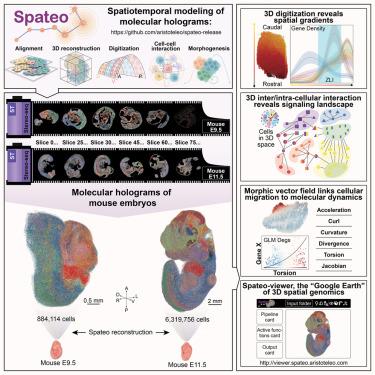 Spatiotemporal modeling of molecular holograms