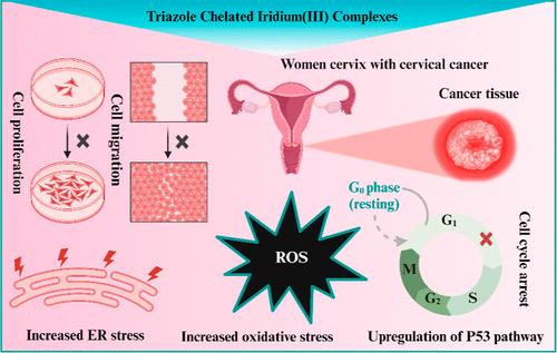 Modulatory Role of Pantropic Cell Signaling Pathways in the Antimigratory and Antiproliferative Action of Triazole Chelated Iridium(III) Complexes in Cervical Cancer Cells