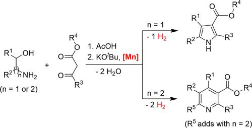 A Catalytic Version of the Knorr Pyrrole Synthesis Permits Access to Pyrroles and Pyridines