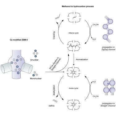 Illuminating selectivity descriptors for the methanol-to-propylene process over Ca-modified and unmodified zeolite ZSM-5